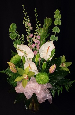 White anthurium lovely mix